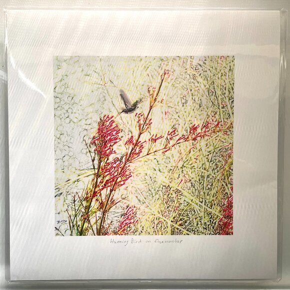 Delphine B Other - Bird Print: Humming Bird on Fire Cracker
